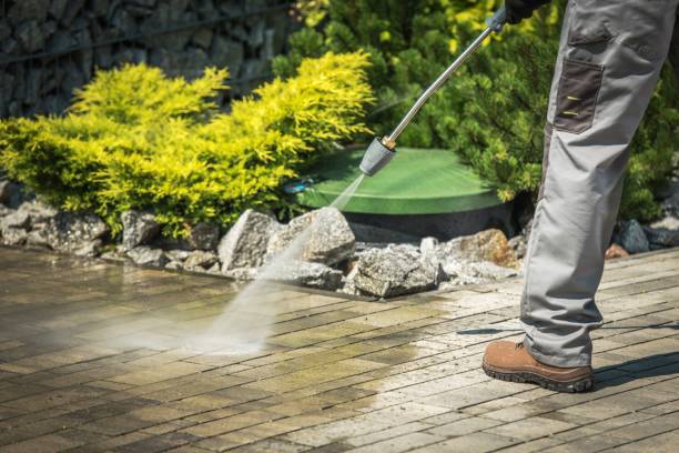 Best Winterizing Services  in Newell, WV